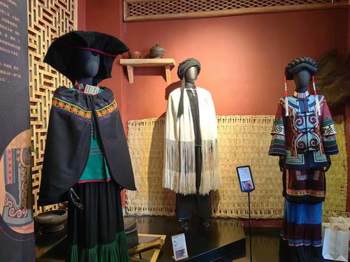 麗江古城新增民族文化新地標(biāo),民族服飾博物館開館