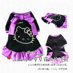 引領(lǐng)寵物時(shí)尚，打造溫馨生活 Dog Society 的寵物服飾與用品王國